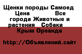 Щенки породы Самоед › Цена ­ 20 000 - Все города Животные и растения » Собаки   . Крым,Ореанда